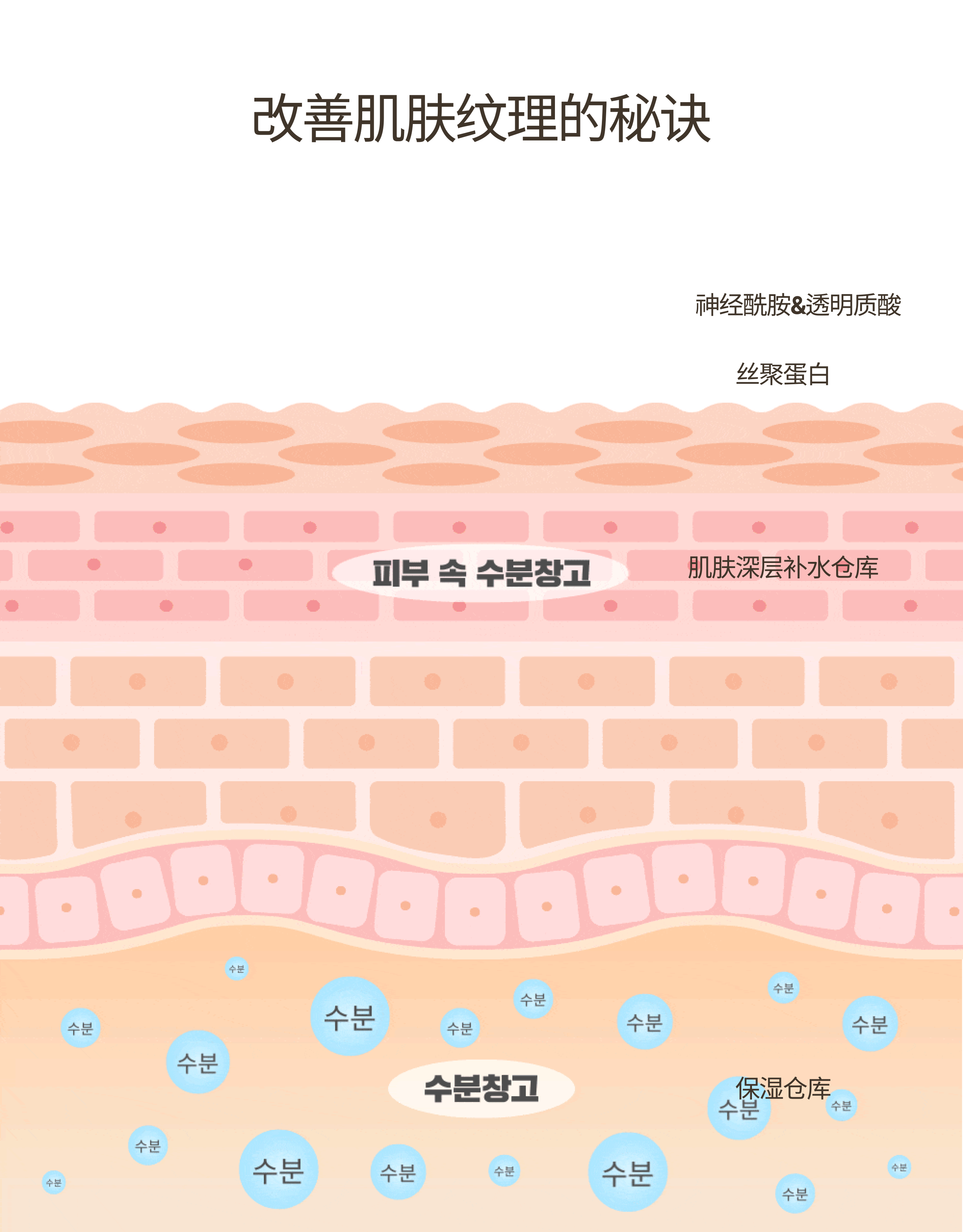 쌀결토닝에센스-중문-8.png